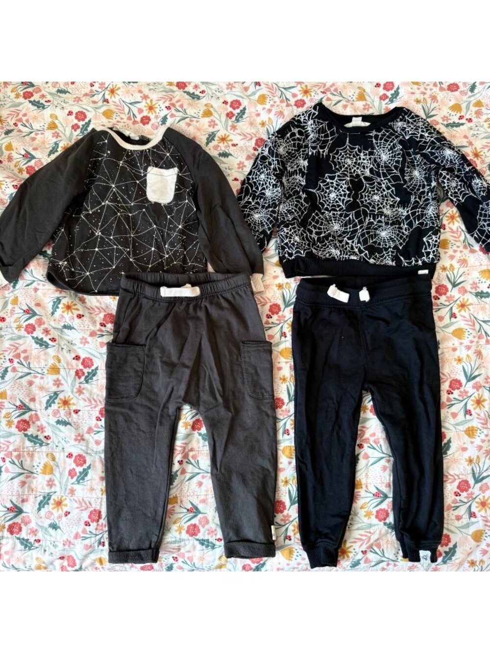 Burt’s Bees Baby boy bundle 18 months EUC